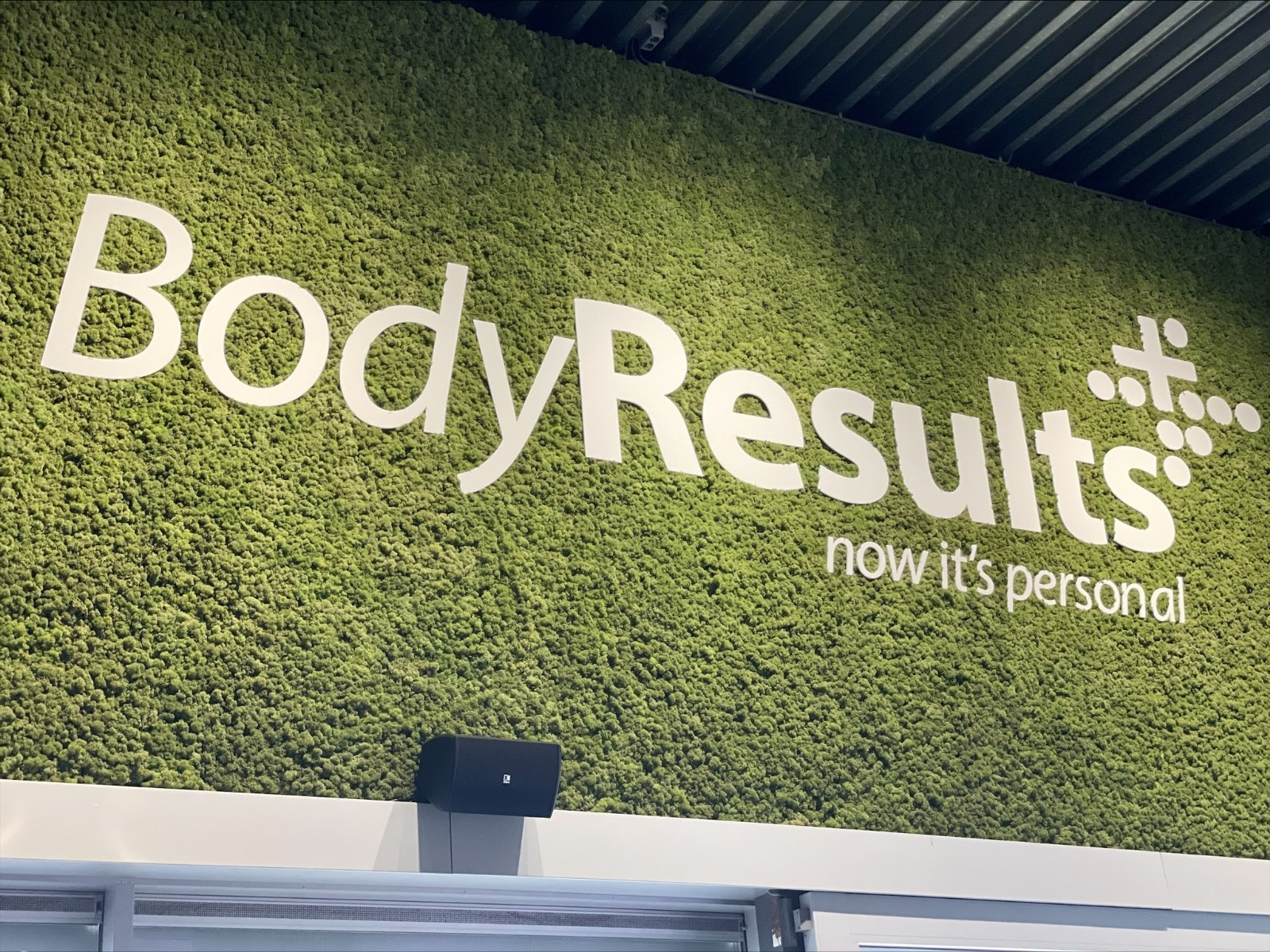 BodyResults